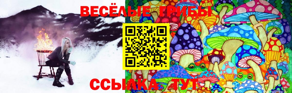 Галлюциногенные грибы Magic Shrooms  Галлюциногенные грибы мицелий  хочу   Тобольск  Вход с VPN 
