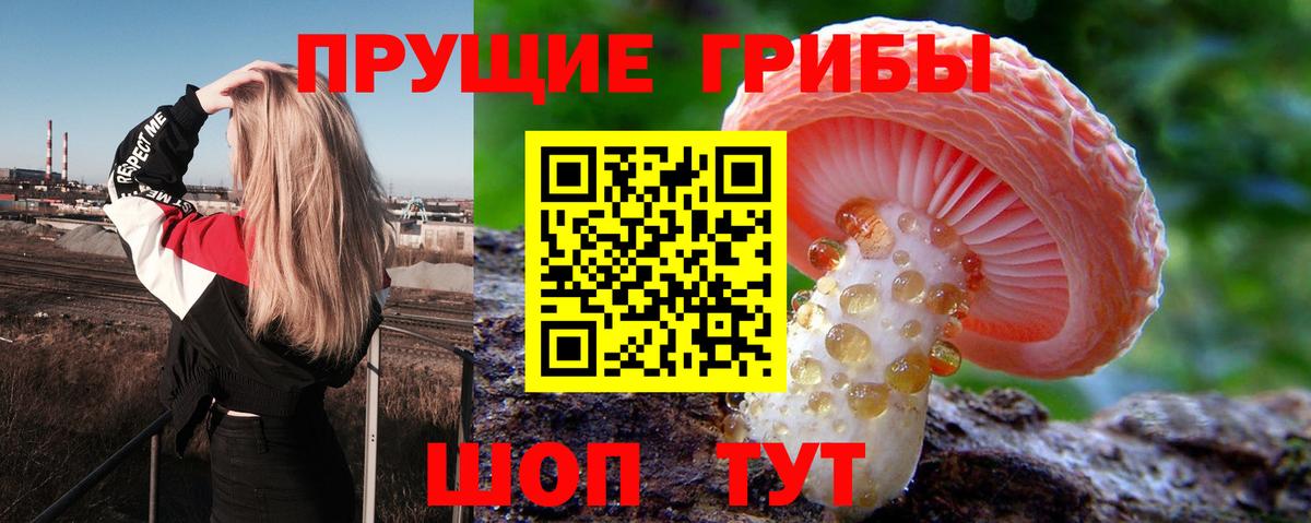 Альфа ПВП Тобольск