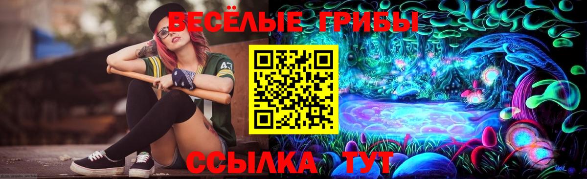 Псилоцибиновые грибы мухоморы Тобольск